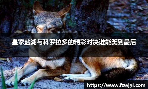 皇家盐湖与科罗拉多的精彩对决谁能笑到最后